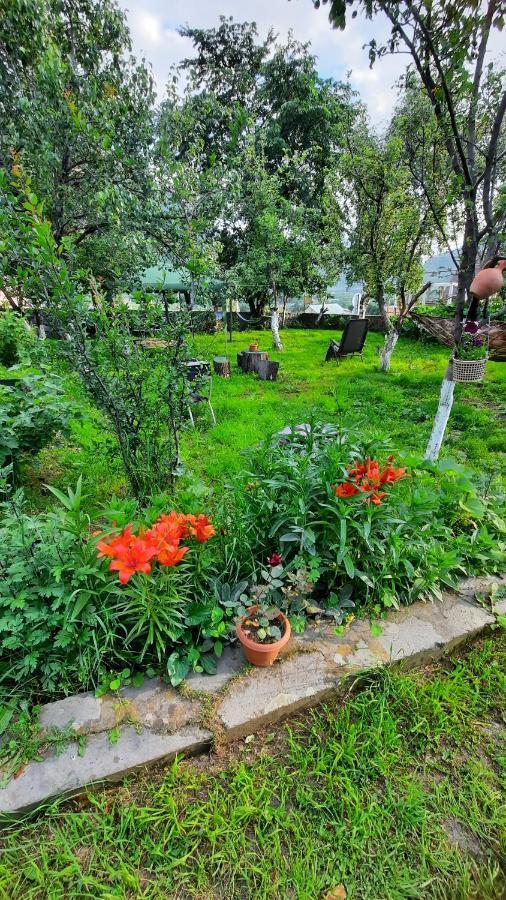 Apartments Gio-Nika Степанцмінда Екстер'єр фото