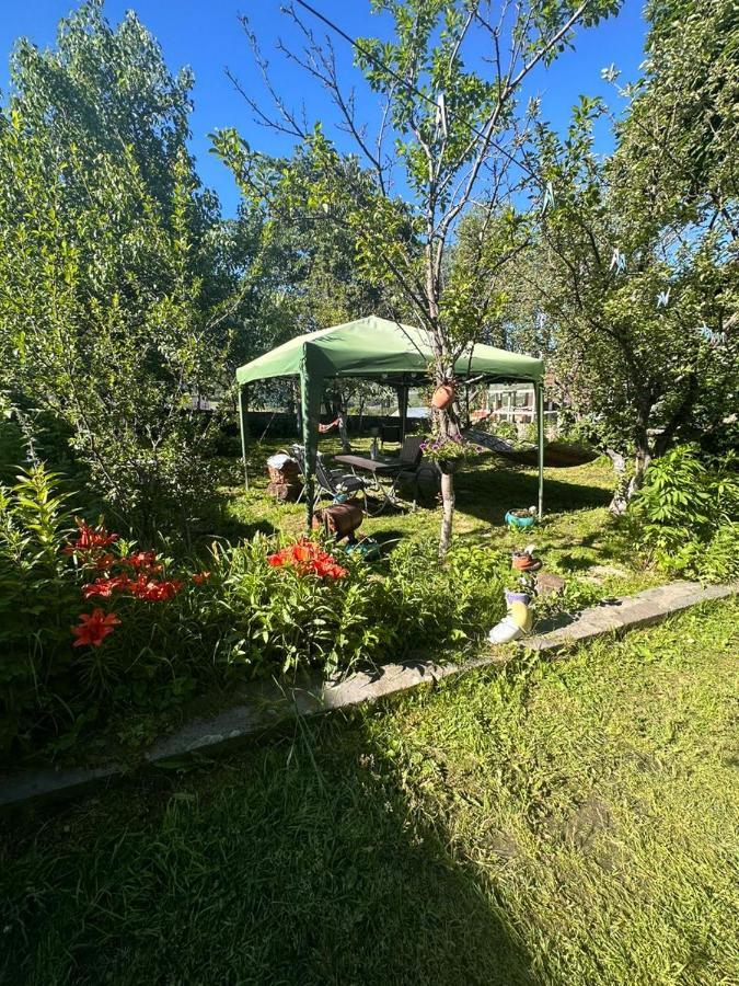 Apartments Gio-Nika Степанцмінда Екстер'єр фото